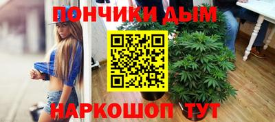 дурь Камышлов